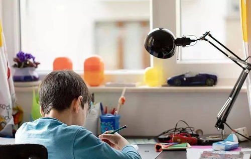 教育局發(fā)文加強(qiáng)教育咨詢服務(wù)，家長(zhǎng)監(jiān)督職責(zé)獲強(qiáng)化